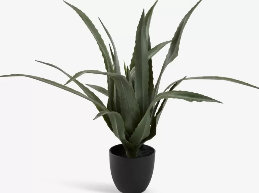 Cheap CELIUS Roślina sztuczna W65cm aloes