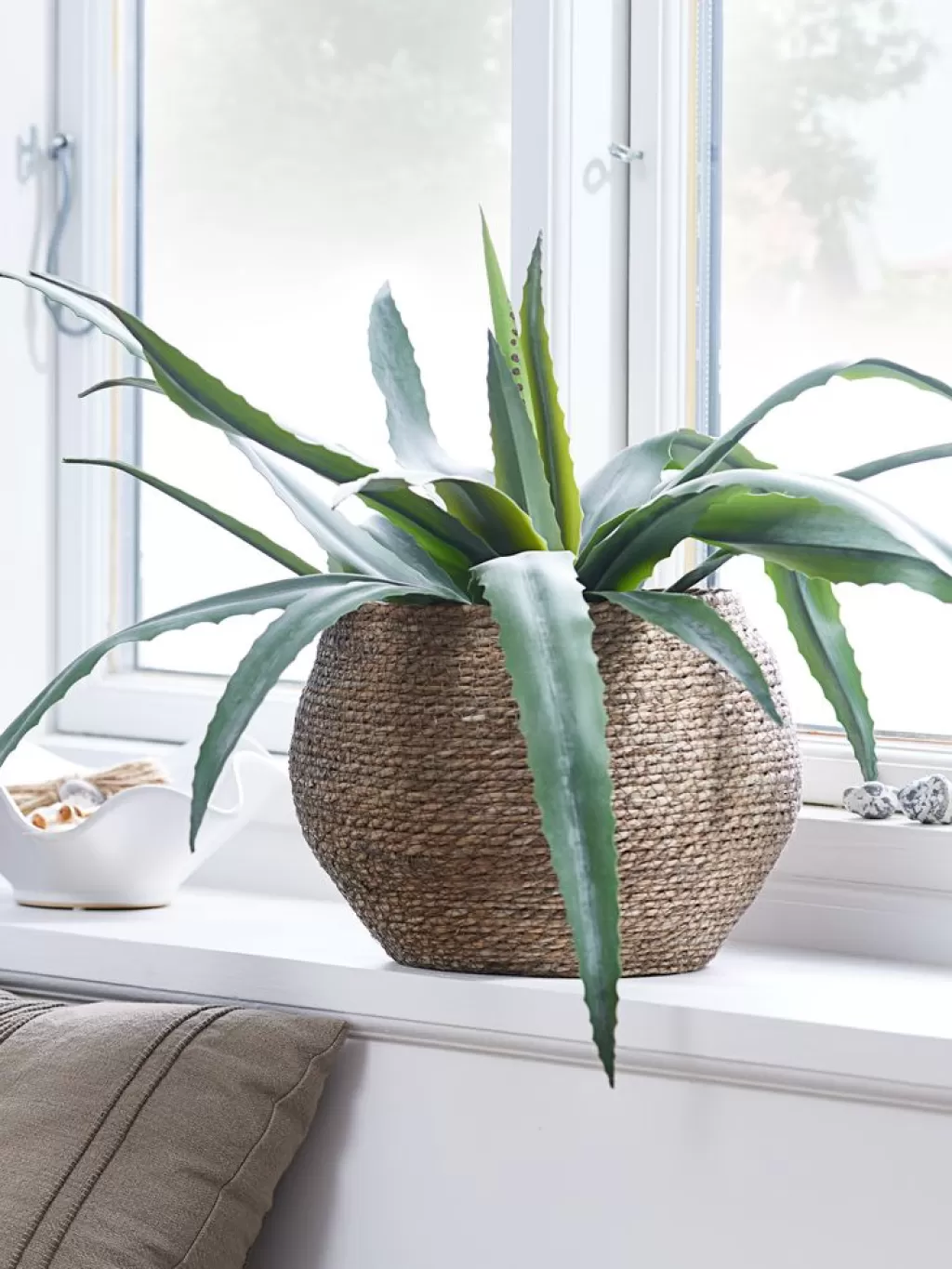 Cheap CELIUS Roślina sztuczna W65cm aloes